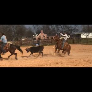 Meet your Posher, Peyton